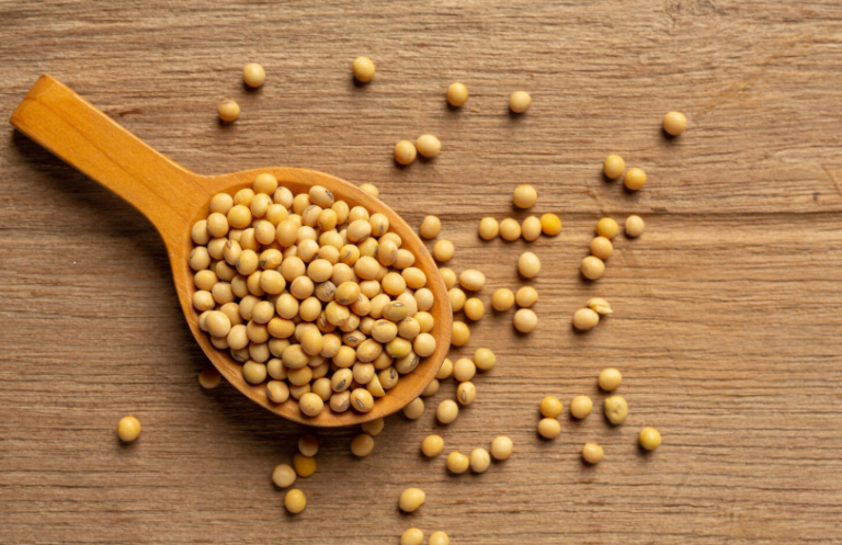 Isolated Soy Protein