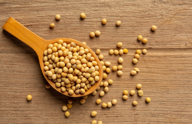 Isolated Soy Protein